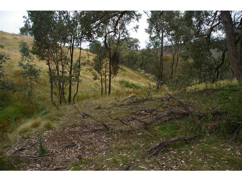 155 Blue Mantle Road, Wyangala NSW 2808