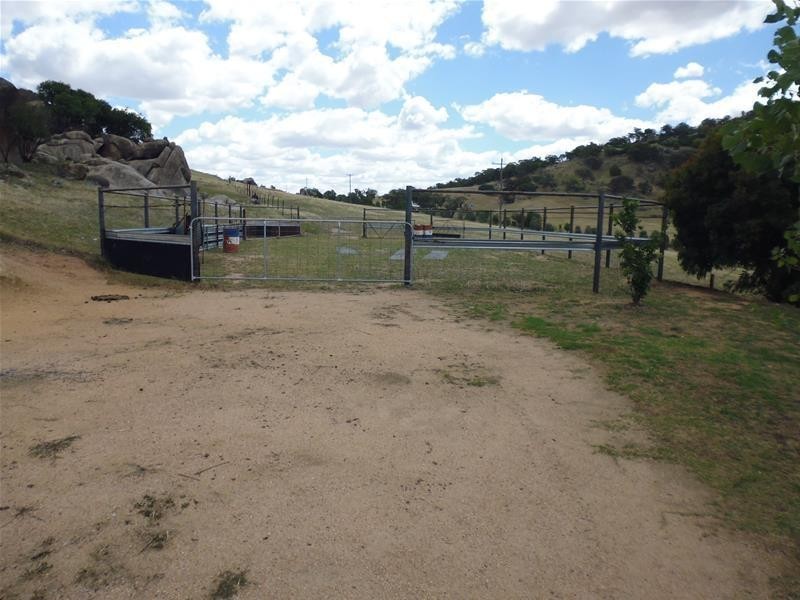 32 Peter Whitty Road, Cowra NSW 2794