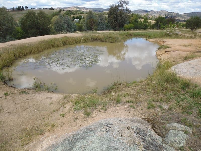 32 Peter Whitty Road, Cowra NSW 2794