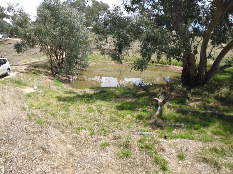 170 Cultowa Lane, Canowindra NSW 2804