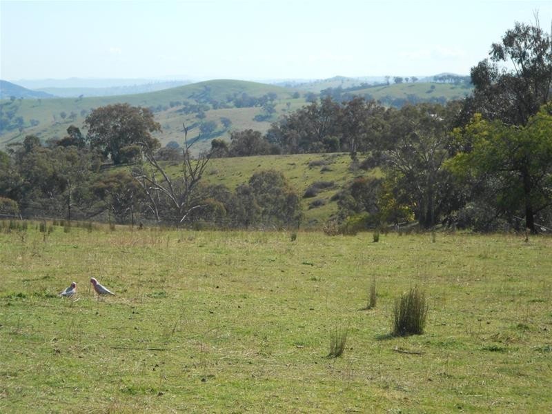 12 Blue Mantle Road, Wyangala NSW 2808