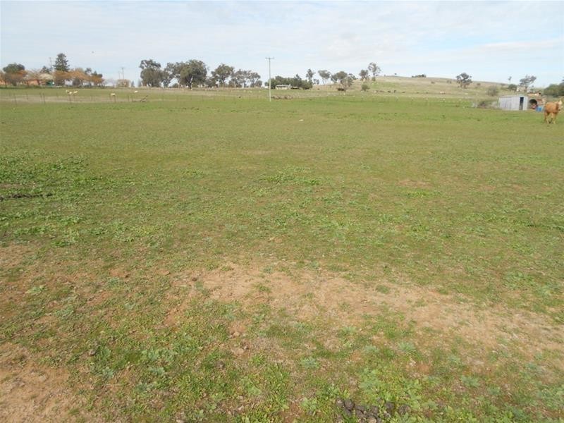 Lot 5, 5 Corner Floods Lane & Wicks Street, Canowindra NSW 2804