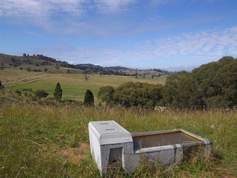 487 Mount McDonald Road, Wyangala NSW 2808