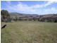 487 Mount McDonald Road, Wyangala NSW 2808