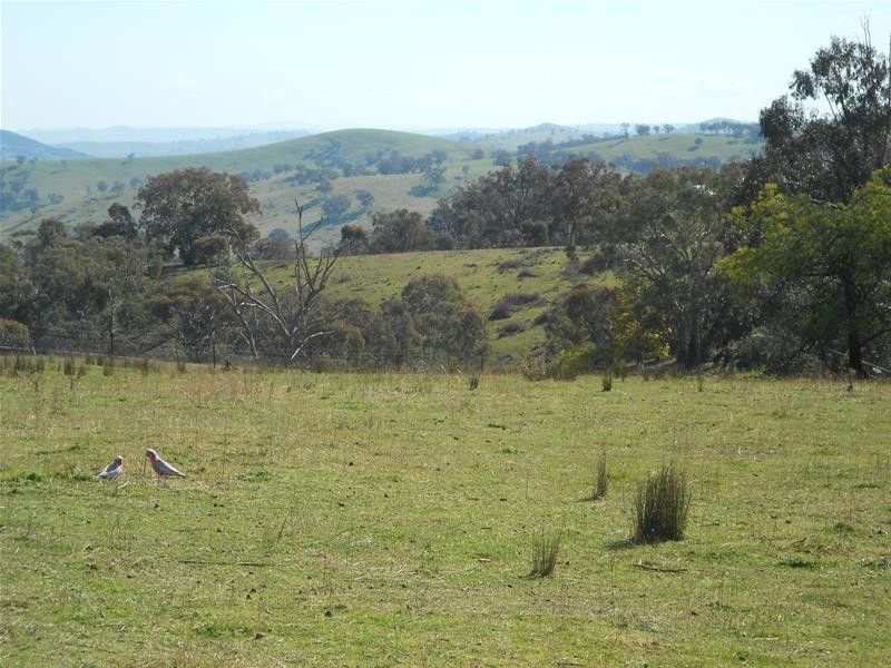 Blue Mantle Road, Wyangala NSW 2808