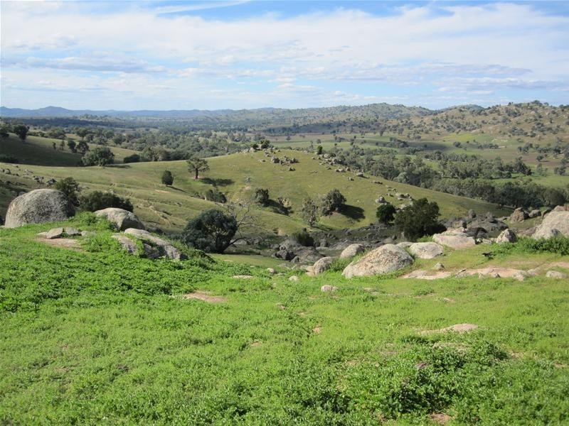 3411 Frogmore Road, Hovells Creek NSW 2794