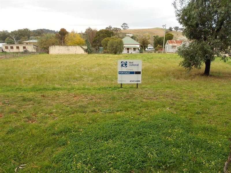 46 Carrington Street, Woodstock NSW 2538