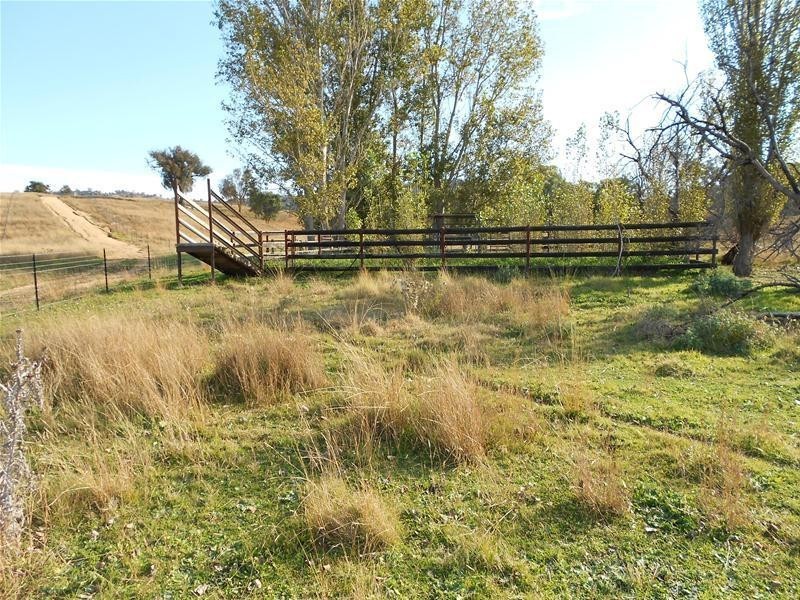 3641 Frogmore Road, Hovells Creek NSW 2794