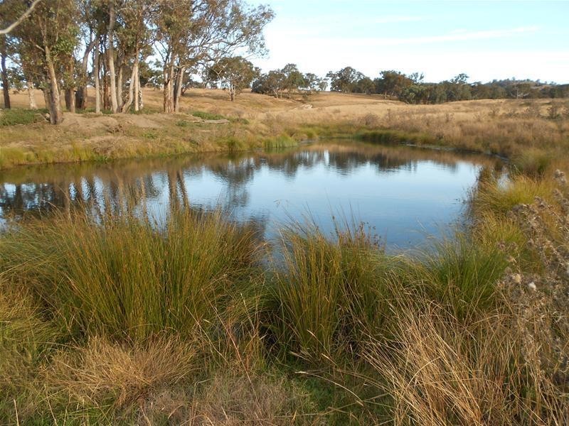 3641 Frogmore Road, Hovells Creek NSW 2794