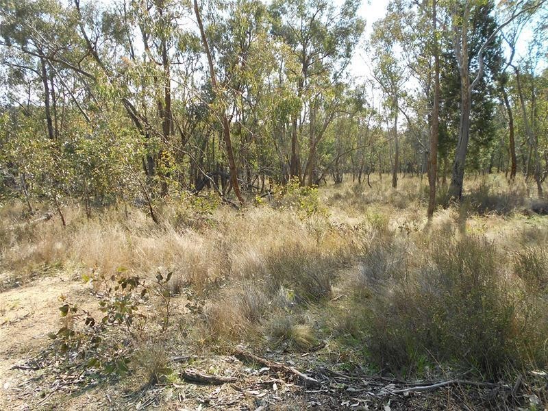 Lot/33 Cobb Drive, Woodstock NSW 2538