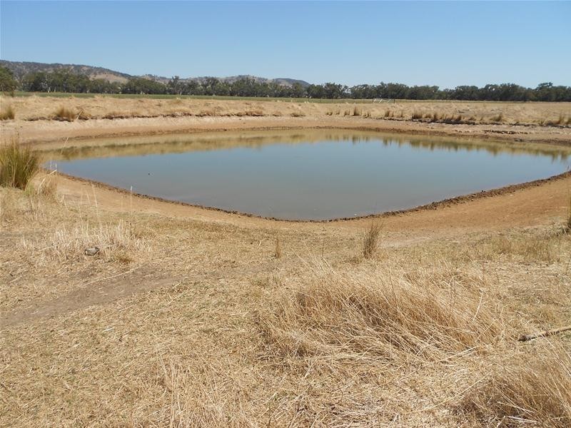 5111 Olympic Highway, Wattamondara NSW 2794