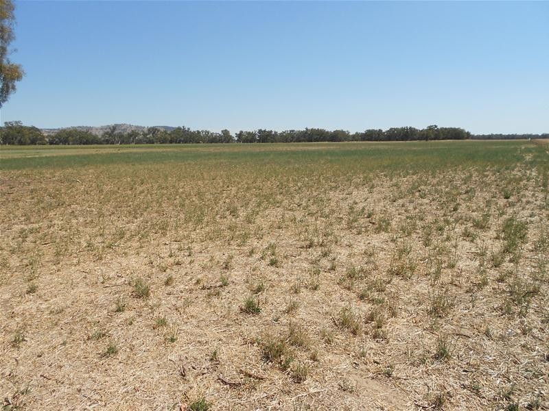 5111 Olympic Highway, Wattamondara NSW 2794