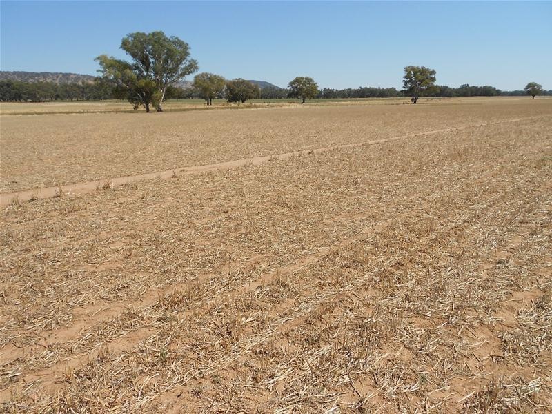 5111 Olympic Highway, Wattamondara NSW 2794