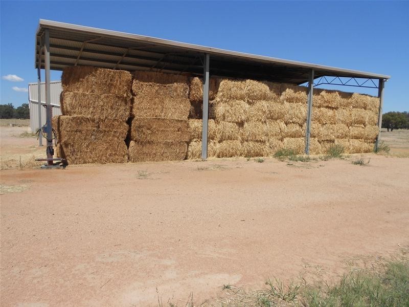 5111 Olympic Highway, Wattamondara NSW 2794