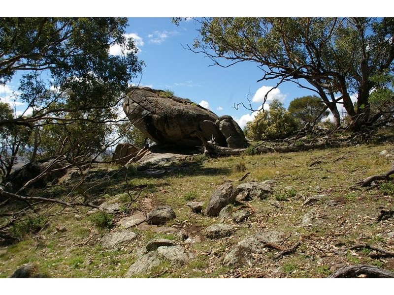 354 Blue Mantle Road, Wyangala NSW 2808