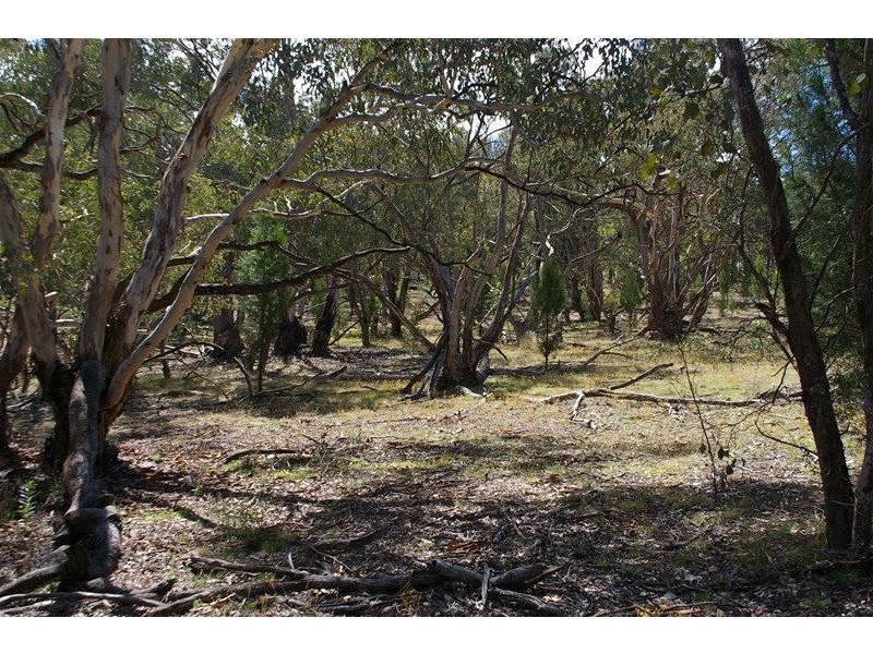 354 Blue Mantle Road, Wyangala NSW 2808