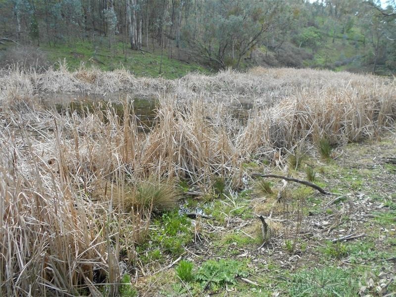 239 Blue Mantle Road, Wyangala NSW 2808