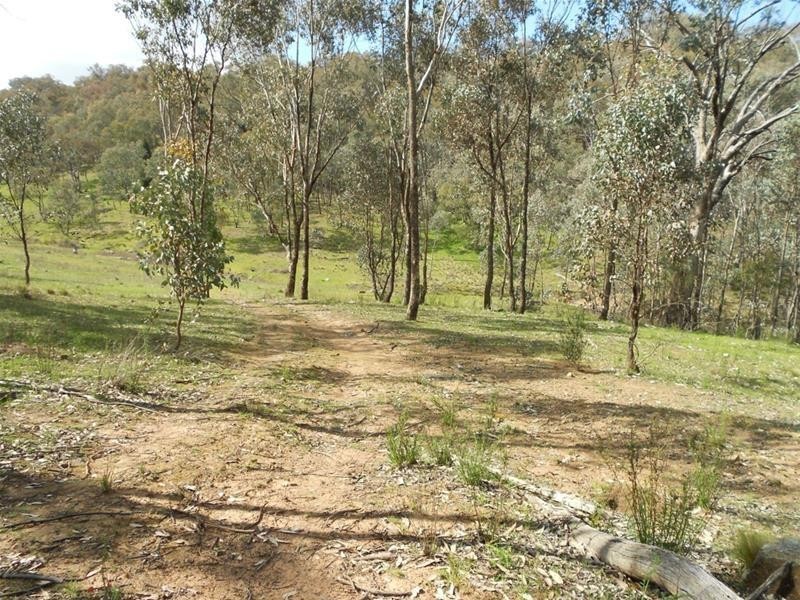 239 Blue Mantle Road, Wyangala NSW 2808