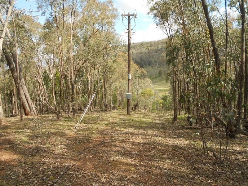 239 Blue Mantle Road, Wyangala NSW 2808