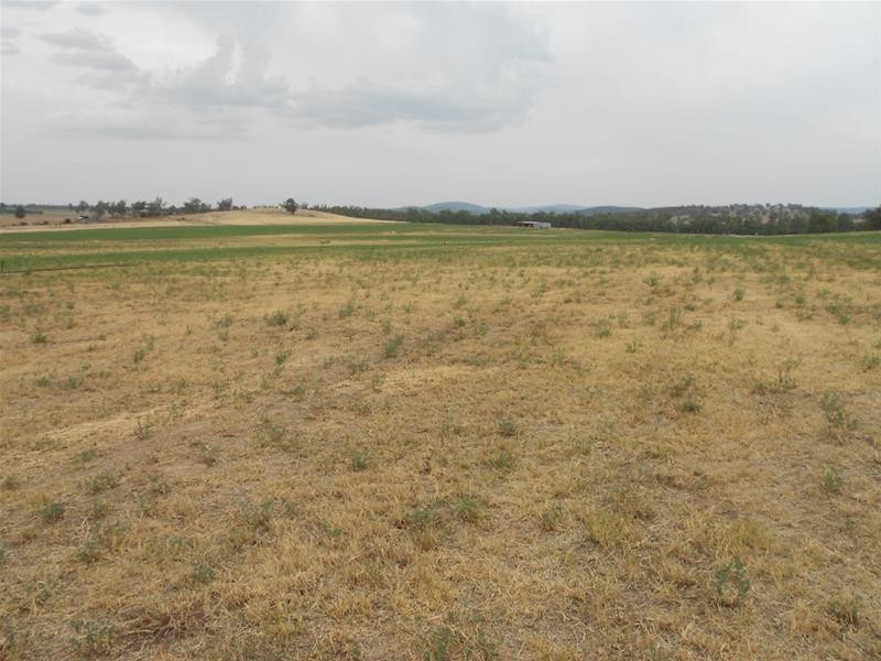 160-162 Cultowa Lane, Billimari NSW 2804