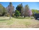 543 Darbys Falls Road, Cowra NSW 2794