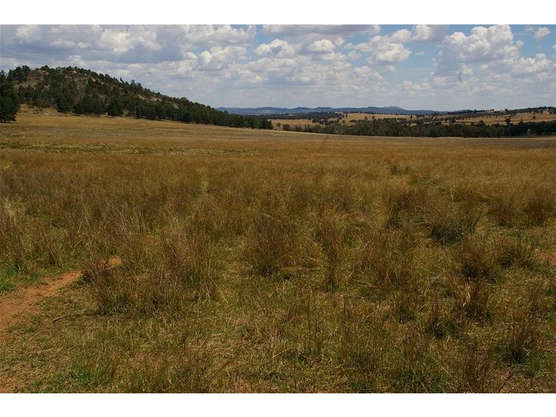 55 Gooloogong Road, Gooloogong NSW 2805