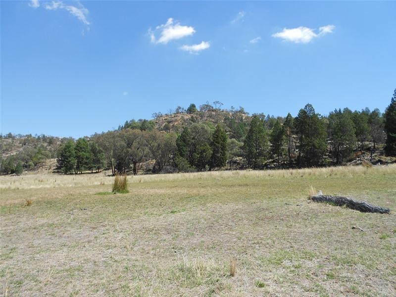 55 Gooloogong Road, Gooloogong NSW 2805