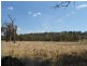 55 Gooloogong Road, Gooloogong NSW 2805