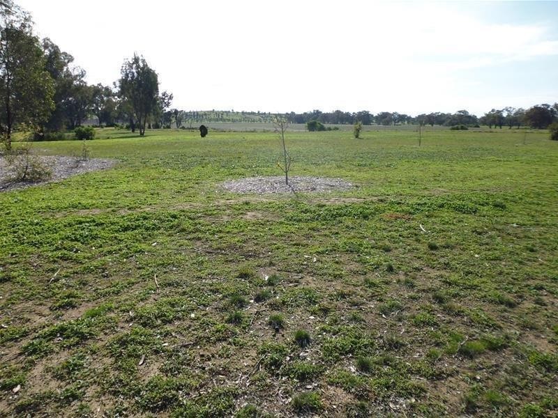 1587 Tyagong Creek Road, Greenethorpe NSW 2809