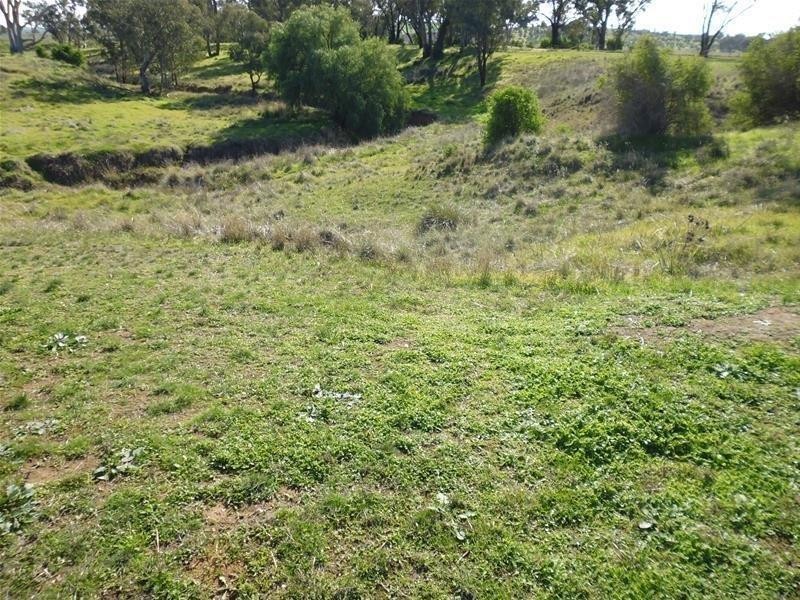 1587 Tyagong Creek Road, Greenethorpe NSW 2809