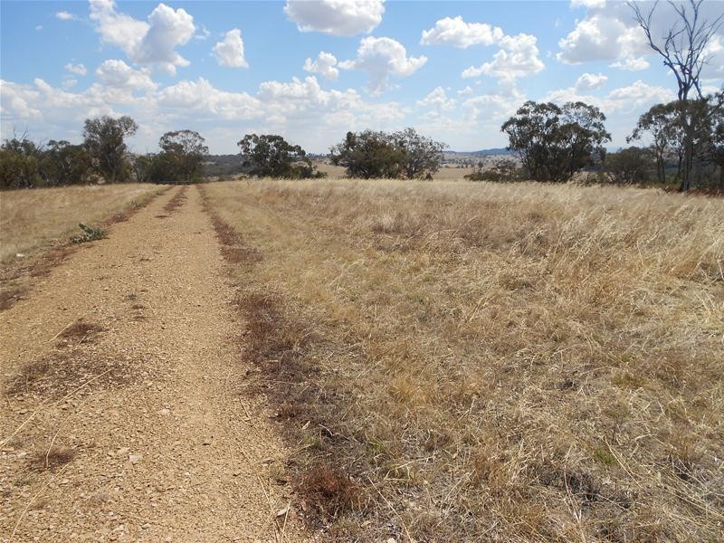 273 Horton Drive, Woodstock NSW 2538