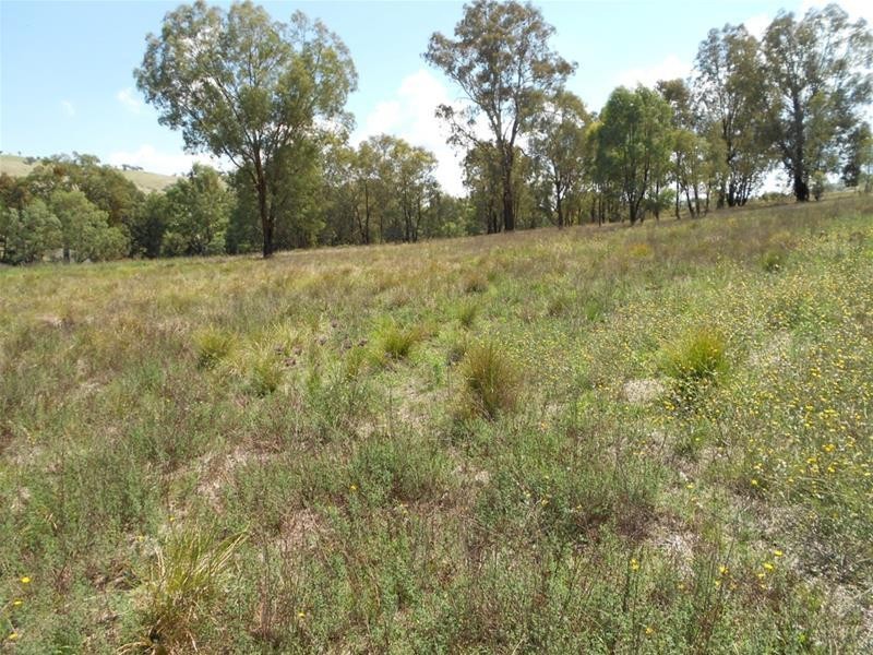 389 Mount McDonald Road, Wyangala NSW 2808