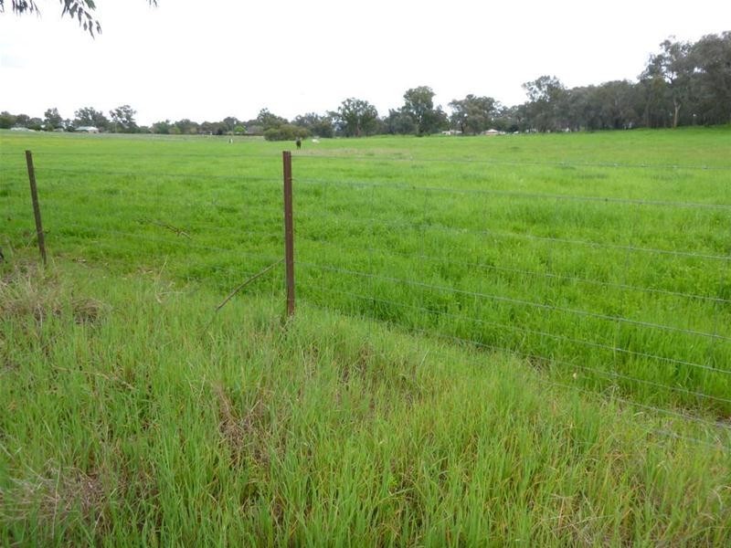 30 Floods Lane, Canowindra NSW 2804