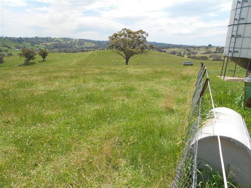 1580 Reg Hailstone Way, Woodstock NSW 2793