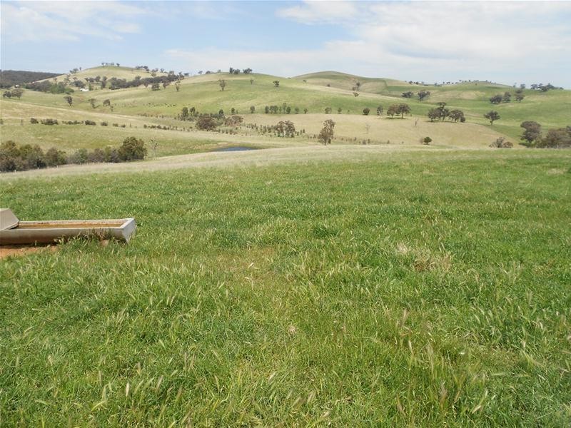 1580 Reg Hailstone Way, Woodstock NSW 2793