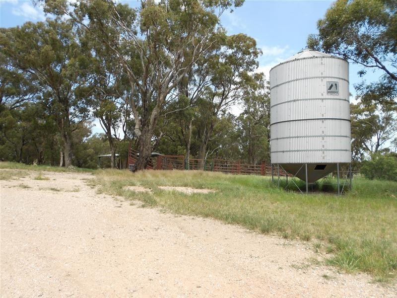 1580 Reg Hailstone Way, Woodstock NSW 2793