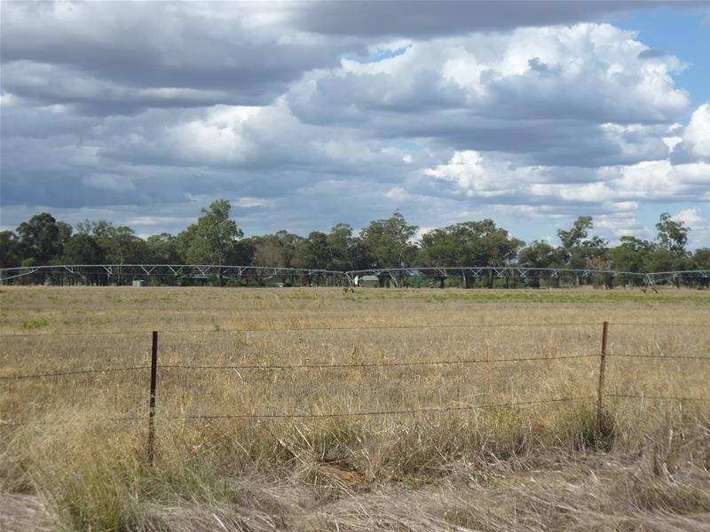 94 Warraderry Way, Gooloogong NSW 2805