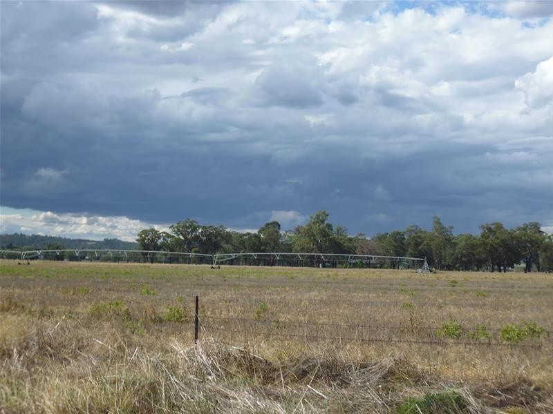 94 Warraderry Way, Gooloogong NSW 2805