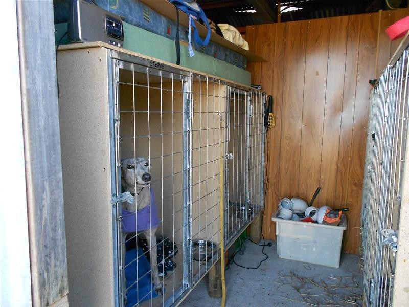 LOT 156 Waddell Street, Wattamondara NSW 2794