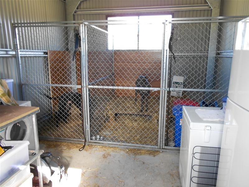 LOT 156 Waddell Street, Wattamondara NSW 2794