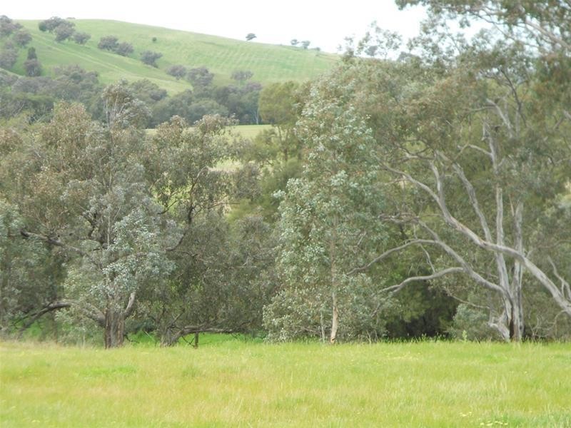 113 Vernon Drive, Cowra NSW 2794