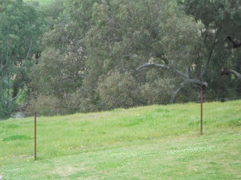 113 Vernon Drive, Cowra NSW 2794