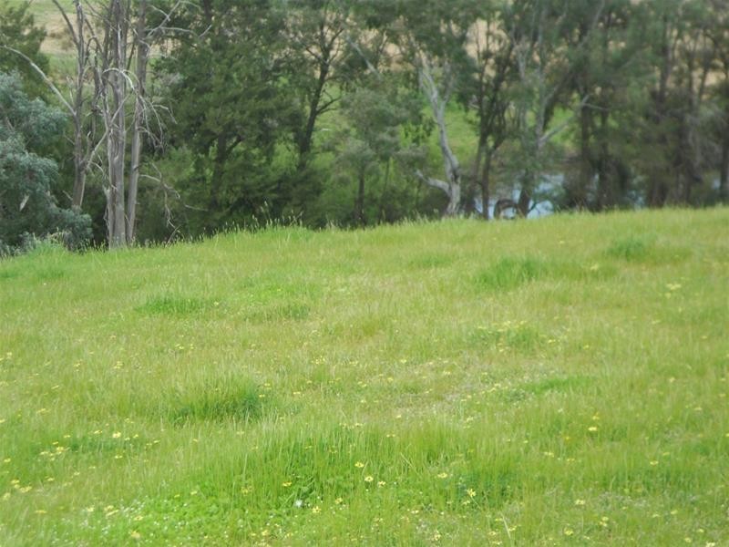 113 Vernon Drive, Cowra NSW 2794