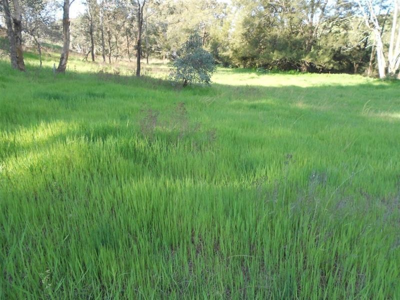 113 Vernon Drive, Cowra NSW 2794