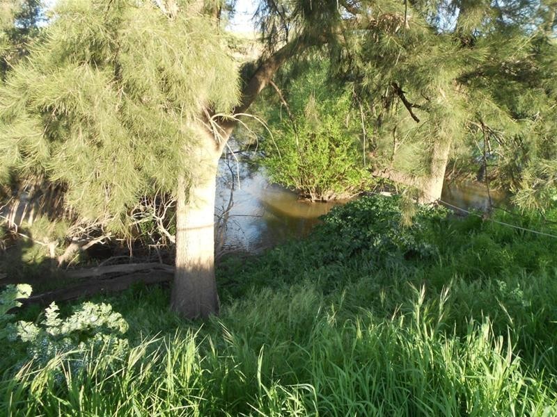 113 Vernon Drive, Cowra NSW 2794