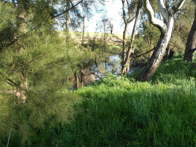 113 Vernon Drive, Cowra NSW 2794