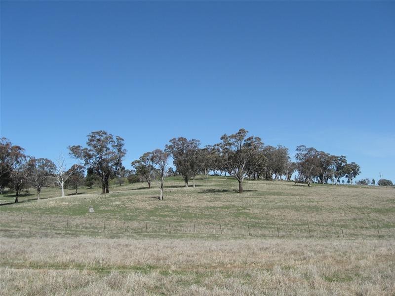 60 Meadows Lane, Lyndhurst NSW 2797