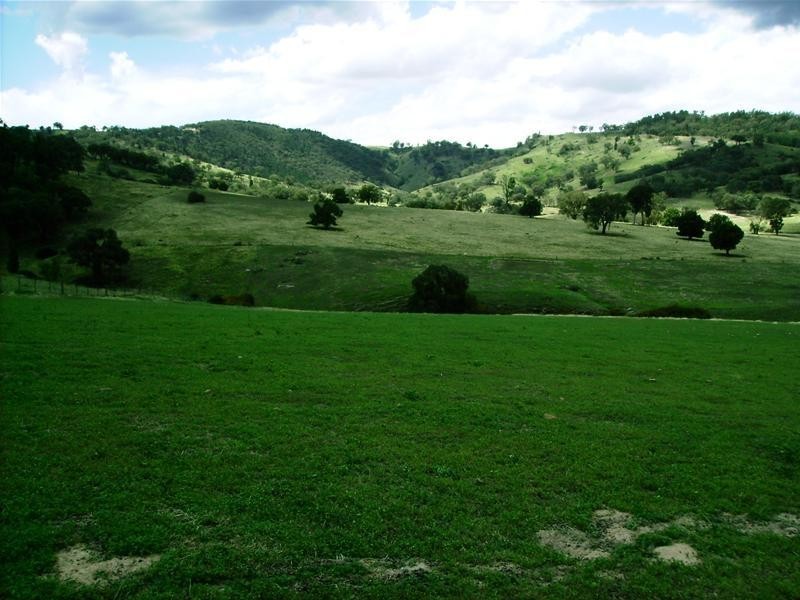 Lot 205/630 Clements Road, Lyndhurst NSW 2350