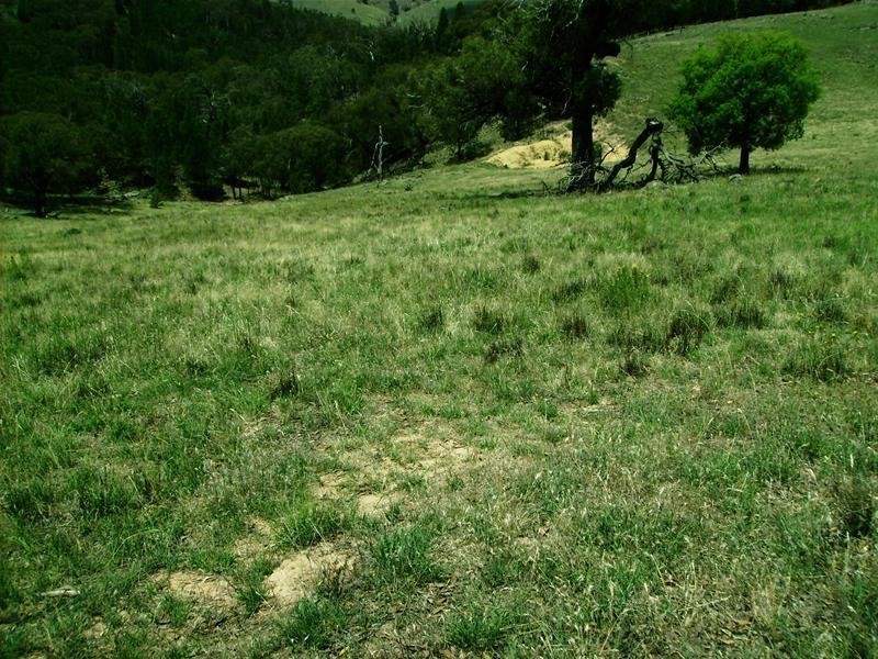 Lot 205/630 Clements Road, Lyndhurst NSW 2350