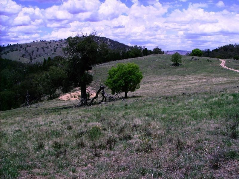 Lot 205/630 Clements Road, Lyndhurst NSW 2350